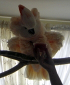 Avatar de l’utilisateur