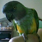 Avatar de l’utilisateur