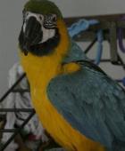 Avatar de l’utilisateur