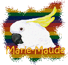 Avatar de l’utilisateur