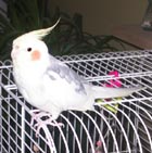 Avatar de l’utilisateur