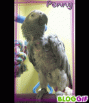 Avatar de l’utilisateur