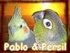 Avatar de l’utilisateur