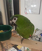 Avatar de l’utilisateur