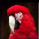 Avatar de l’utilisateur