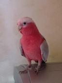 Avatar de l’utilisateur