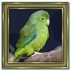 Avatar de l’utilisateur