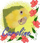 Avatar de l’utilisateur