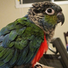 Avatar de l’utilisateur