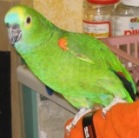 Avatar de l’utilisateur